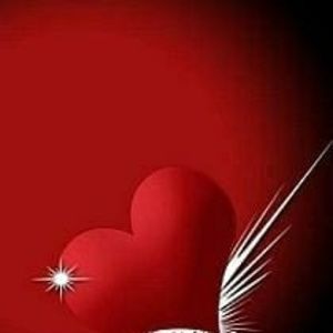 Meet your Posher, Delores